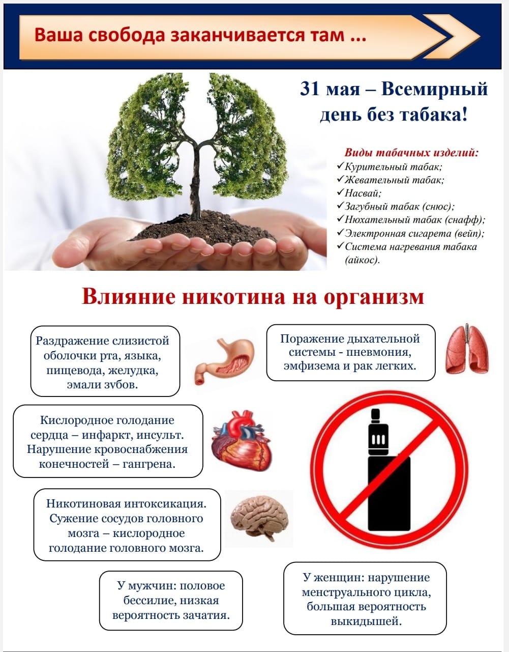 Картинки 31 мая всемирный день без табака день борьбы с курением