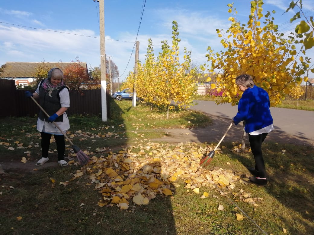 14.10.2020 год. Осенние заботы.